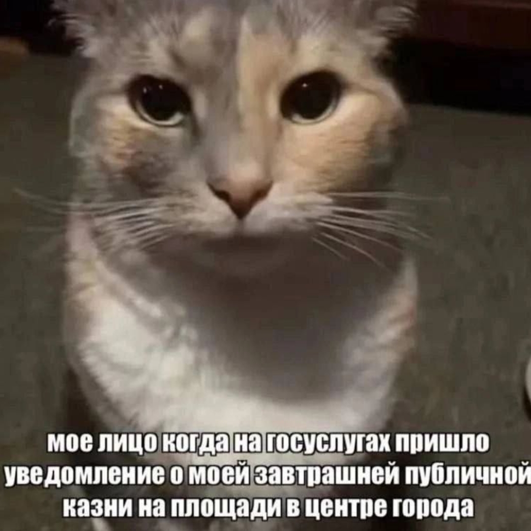 polik