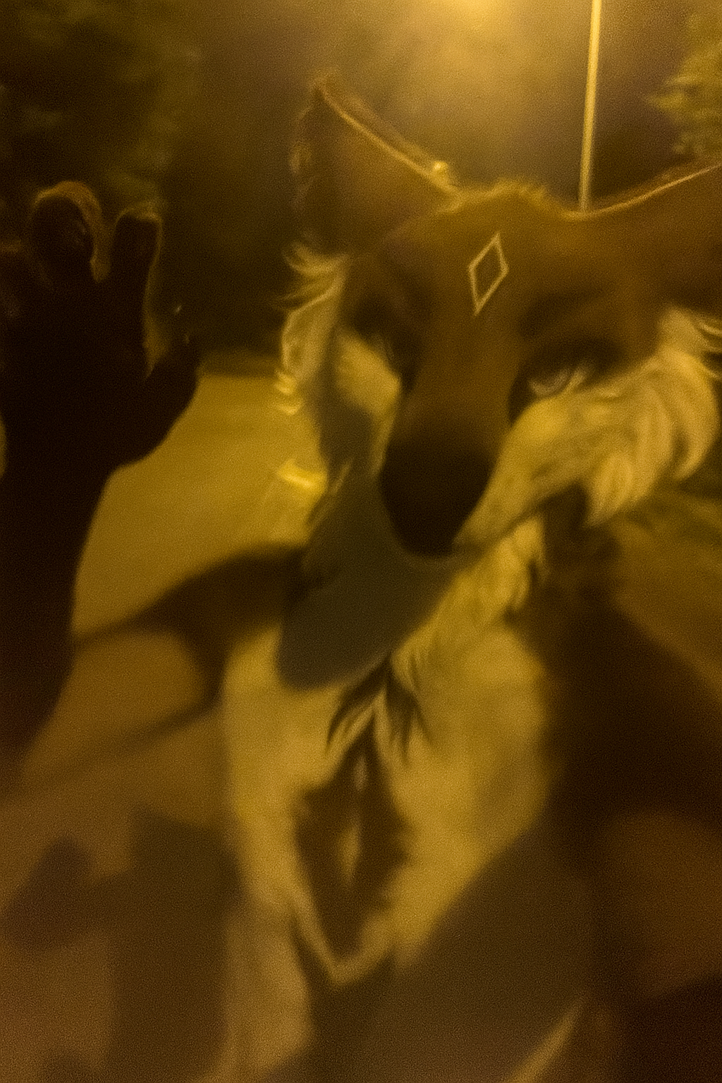 Whiny_Cerberus
