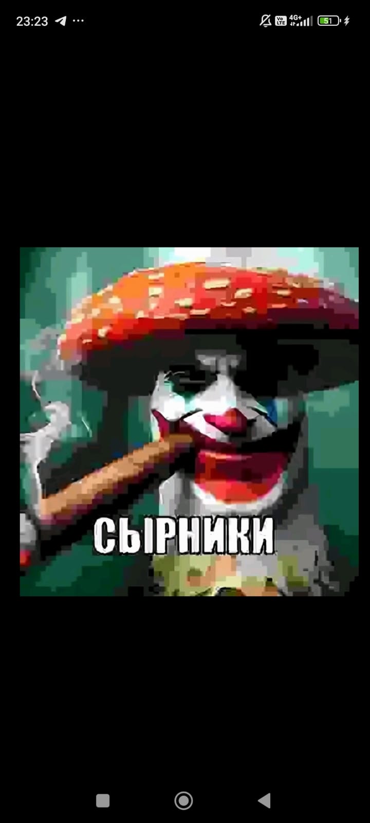 leneks
