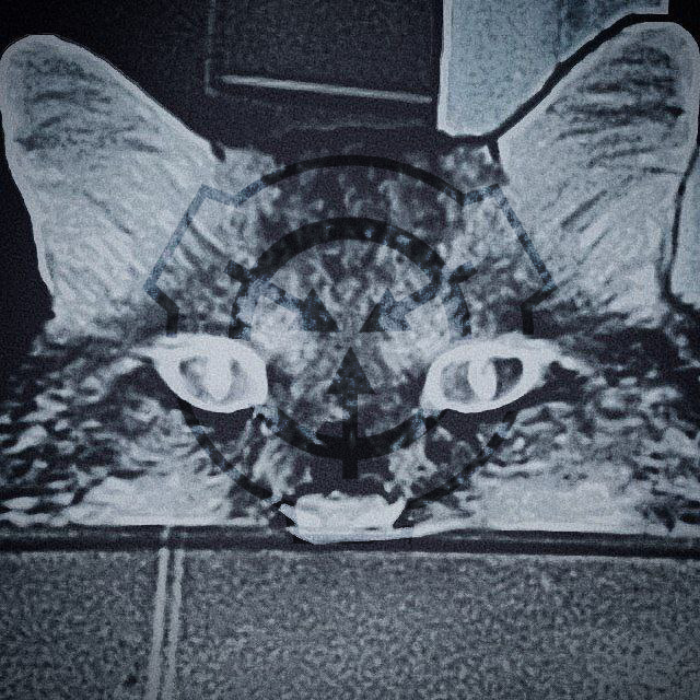 HellSAS
