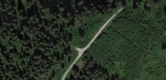 image1231.png