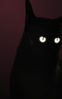 Midnight.jpg
