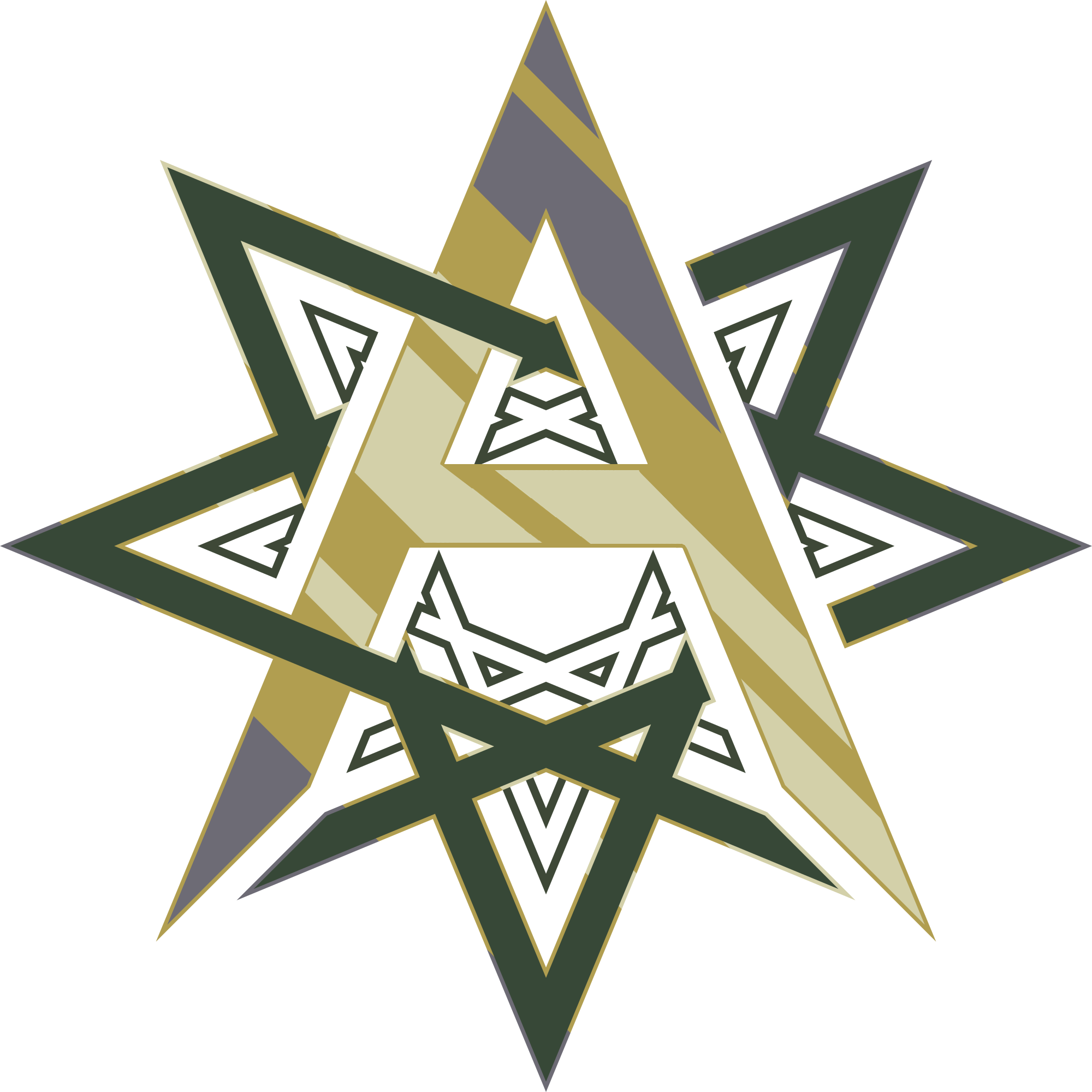 vanguard%20transparent.png
